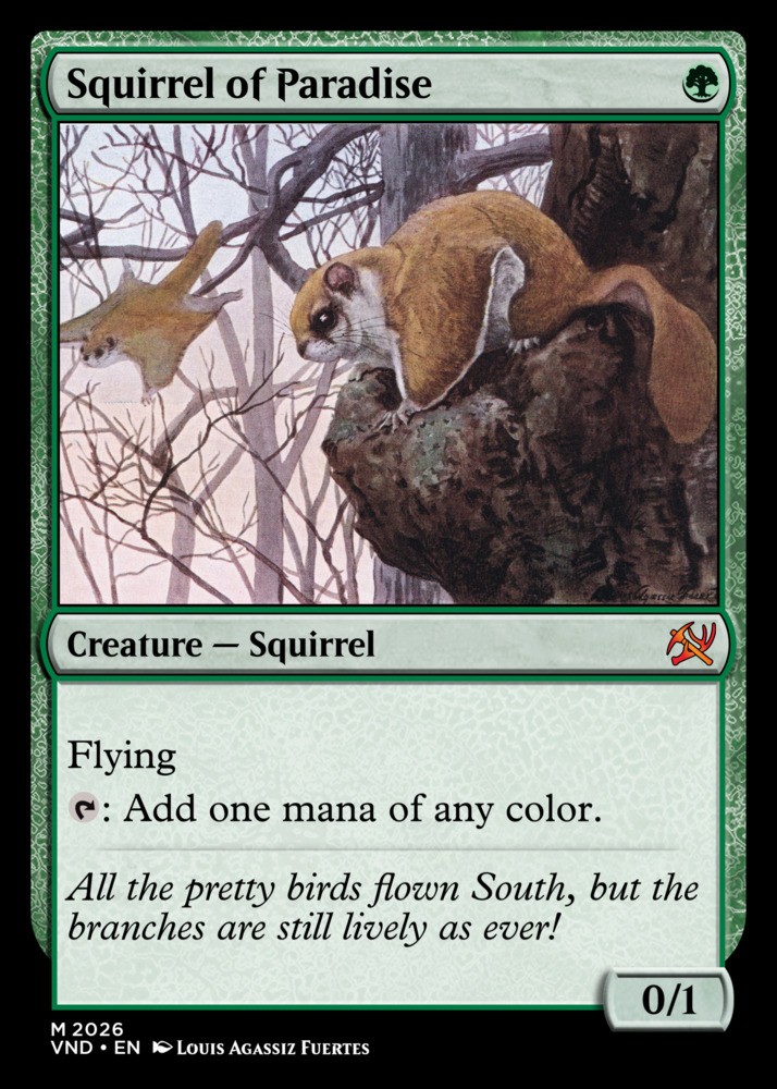 Squirrel of Paradise